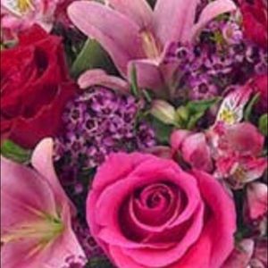 Meet your Posher, Cindy